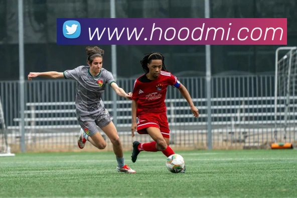 半岛在线登录首页APP 体育赛事宣传图